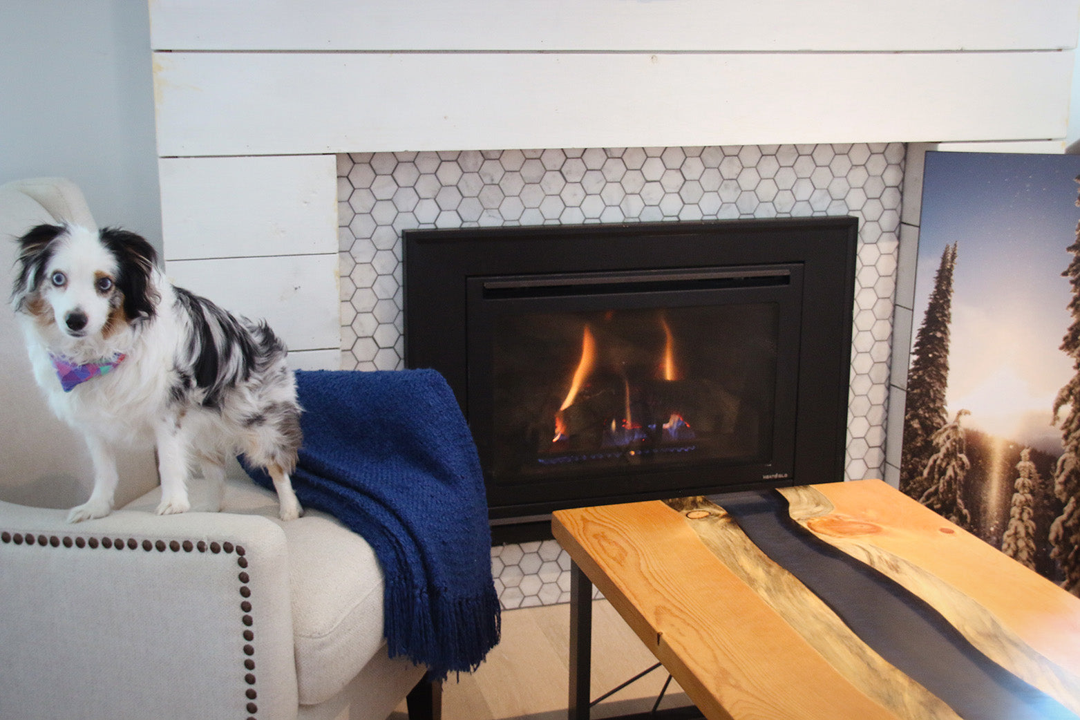 Denim Pine River Coffee Table